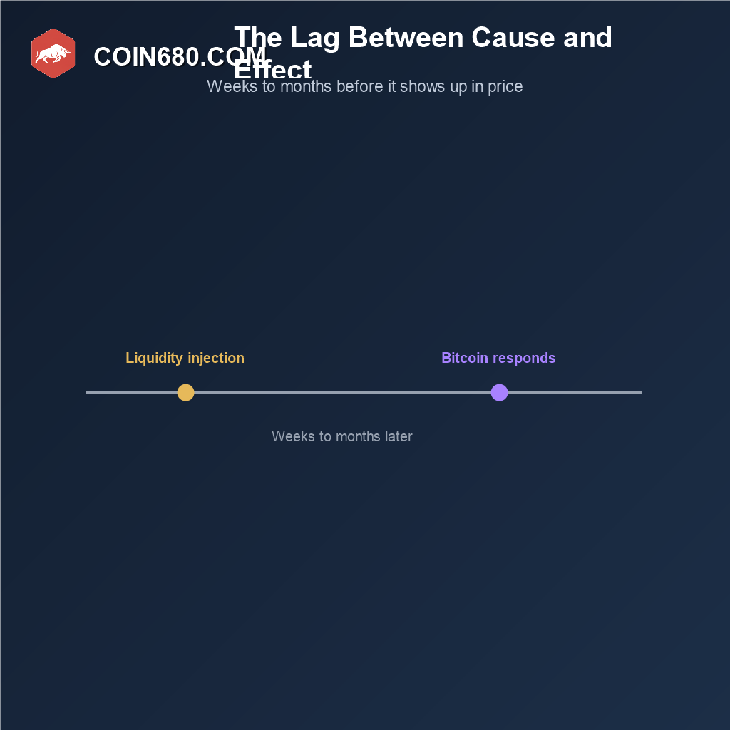 Timeline showing a delay of weeks to months between a liquidity injection and Bitcoin’s price response