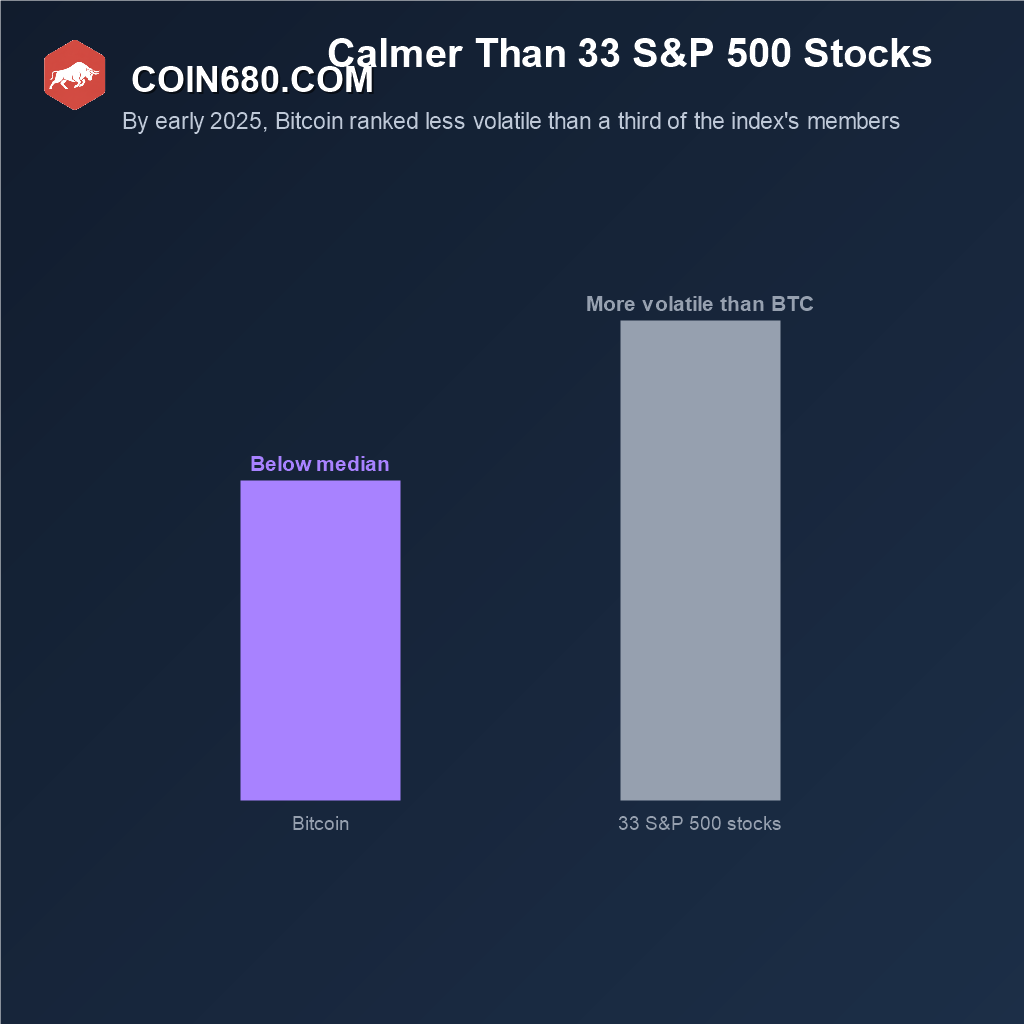 Comparison showing Bitcoin was less volatile than 33 individual S&P 500 stocks by early 2025